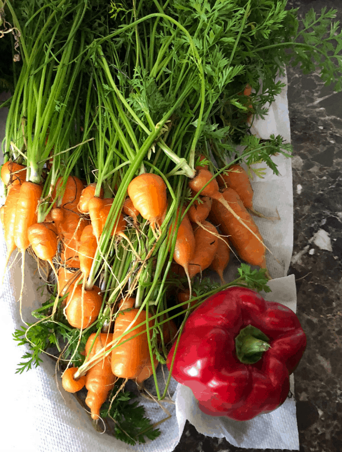 Pepper & Carrots