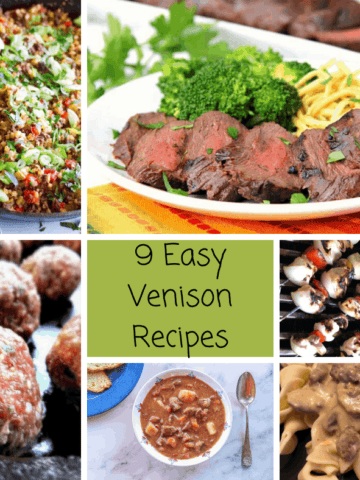9 Easy Venison Recipes