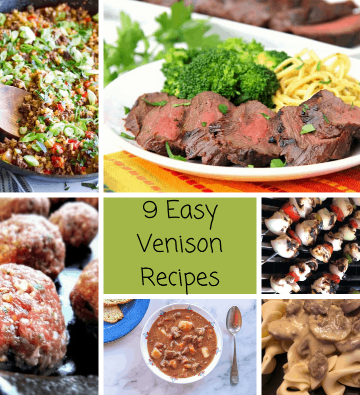 9 Easy Venison Recipes