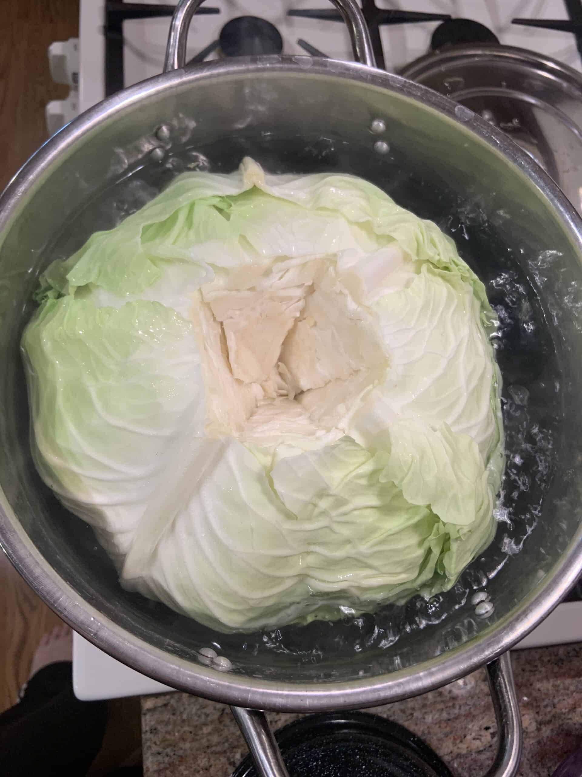 Carefully place whole cabbage head into a pot of boiling water.