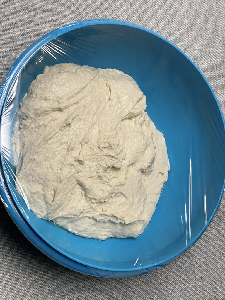 Dough in greased bowl.