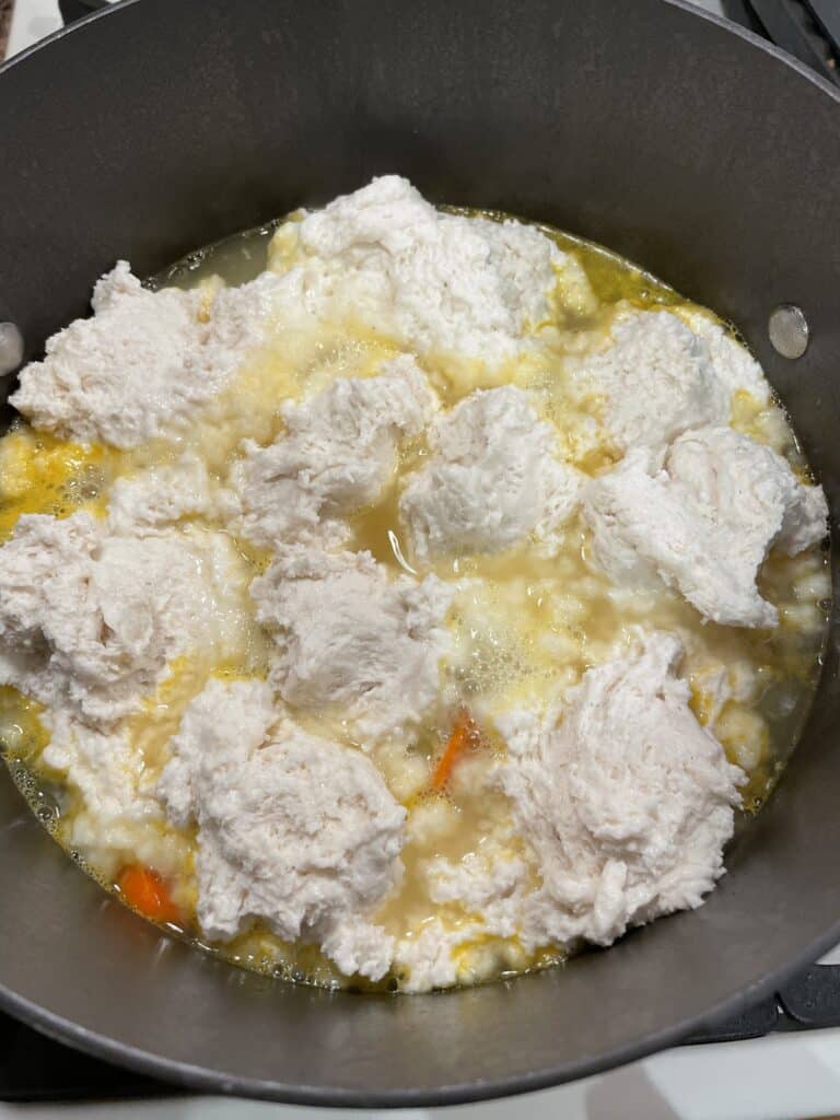 Uncooked dumplings onto of chicken mixture.