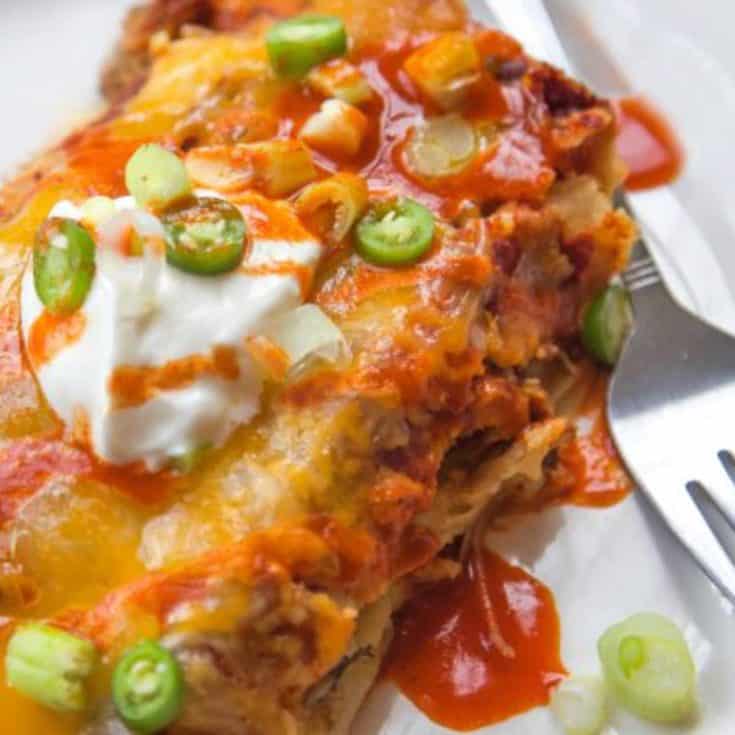 Pulled Pork Enchiladas