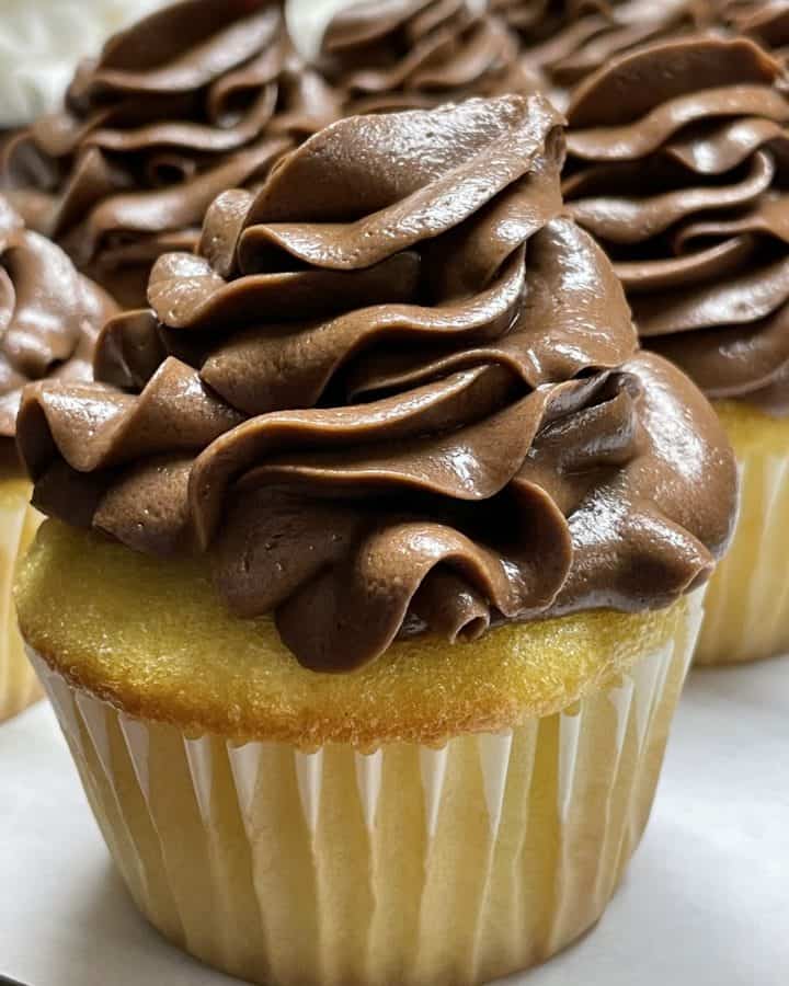 Chocolate Frosting Recipe on top of a vanilla cupcake.