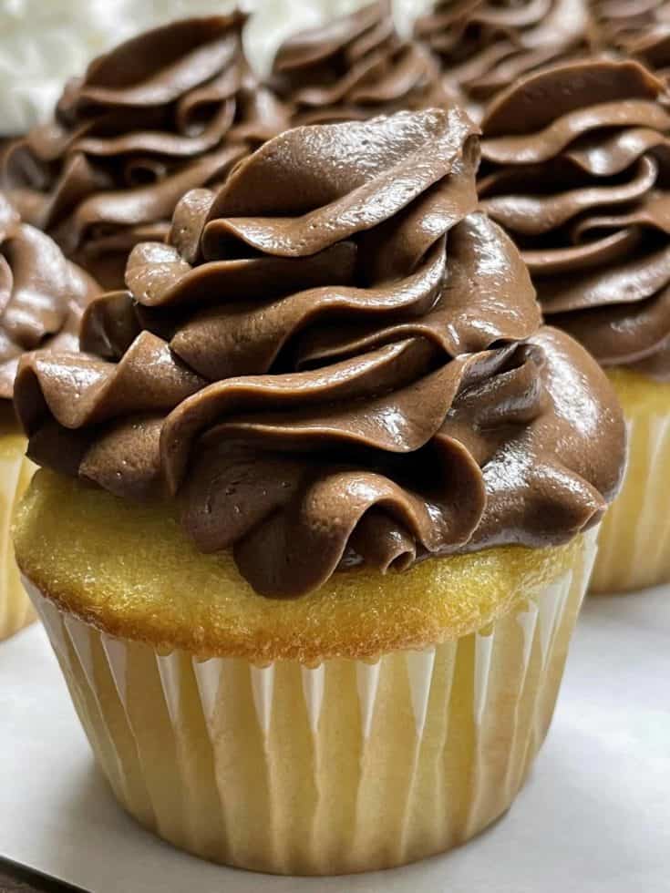 Chocolate Frosting Recipe on top of a vanilla cupcake.