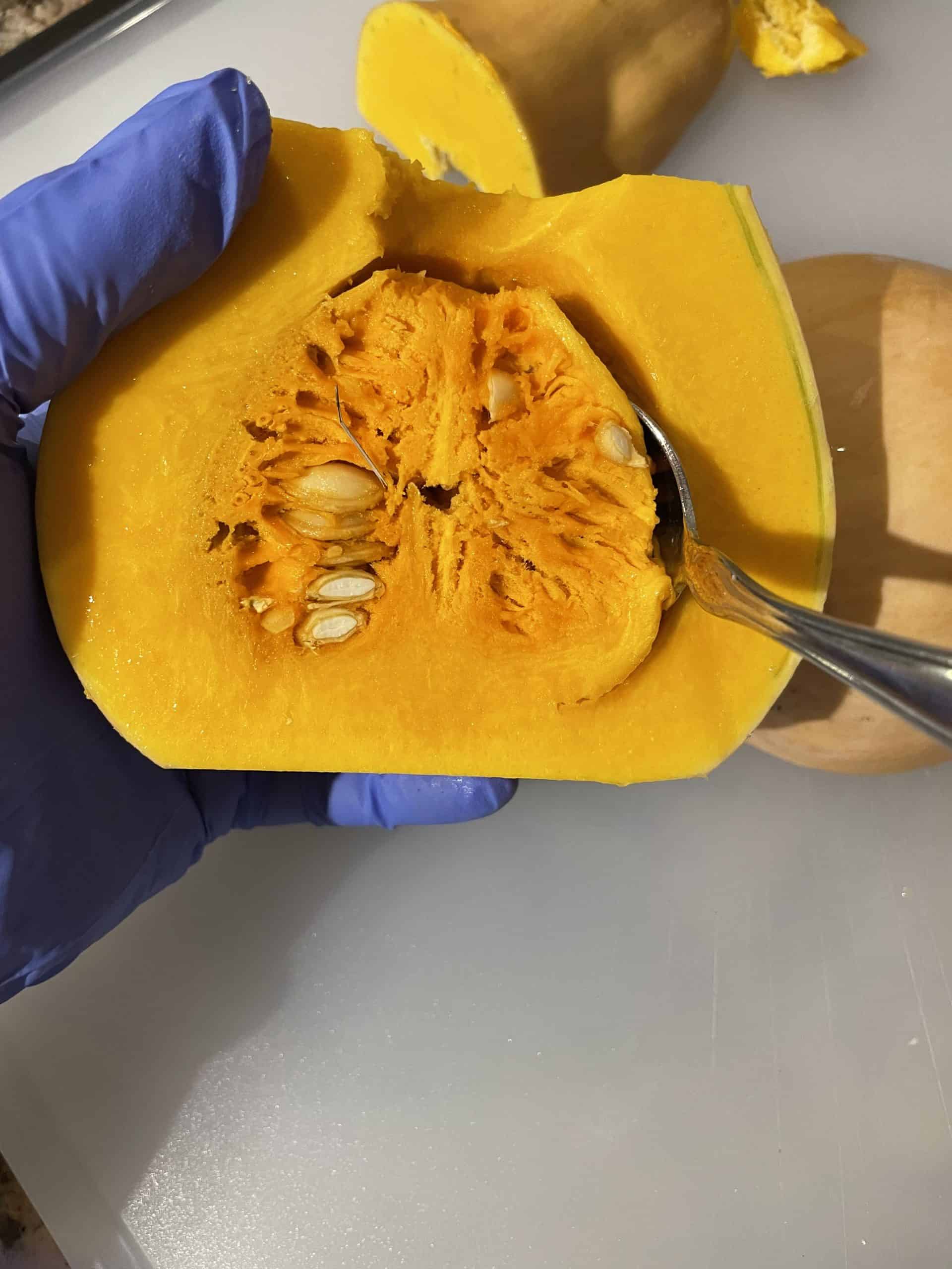 Removing the seeds from the center of a butternut squash with a spoon.