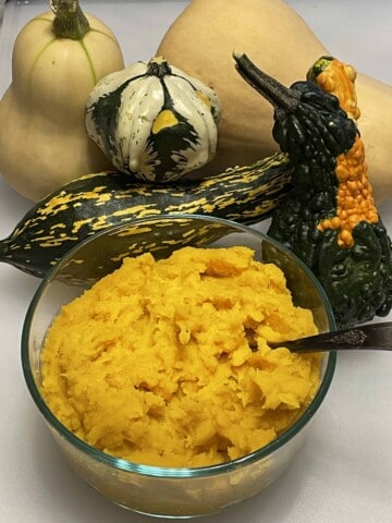 Mashed Butternut Squash in a bowl with an assortment of squashes in the background.