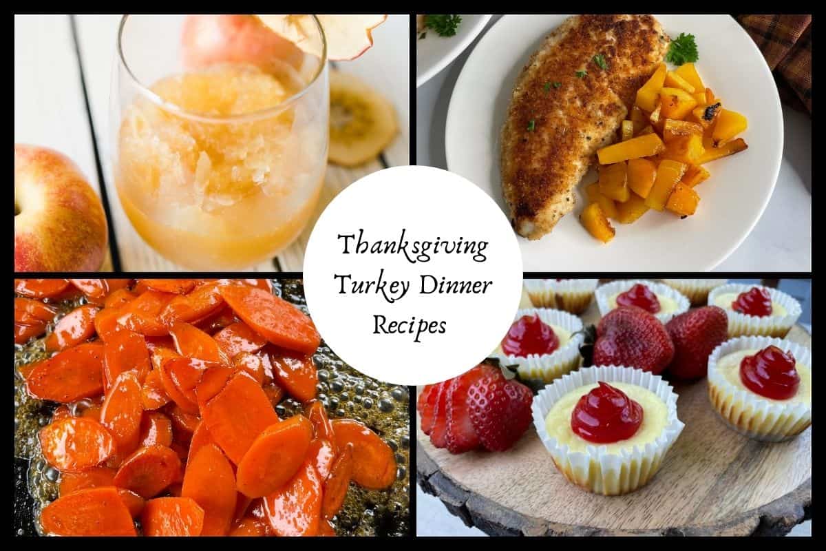 Thanksgiving Turkey Dinner Recipes - Apple Cider slush, turkey cutlet, glazed carrots, and mini cheesecakes