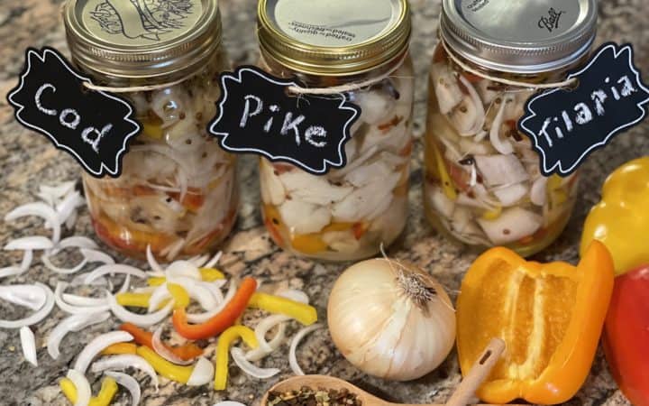 Pickled Cod, Pickled Pike and Pickled Tilapia -Quart glasses jar full of pickled fish surrounded by sliced onion, peppers, a small wooden spoon full of pickling spice and a large onion, with half peppers.