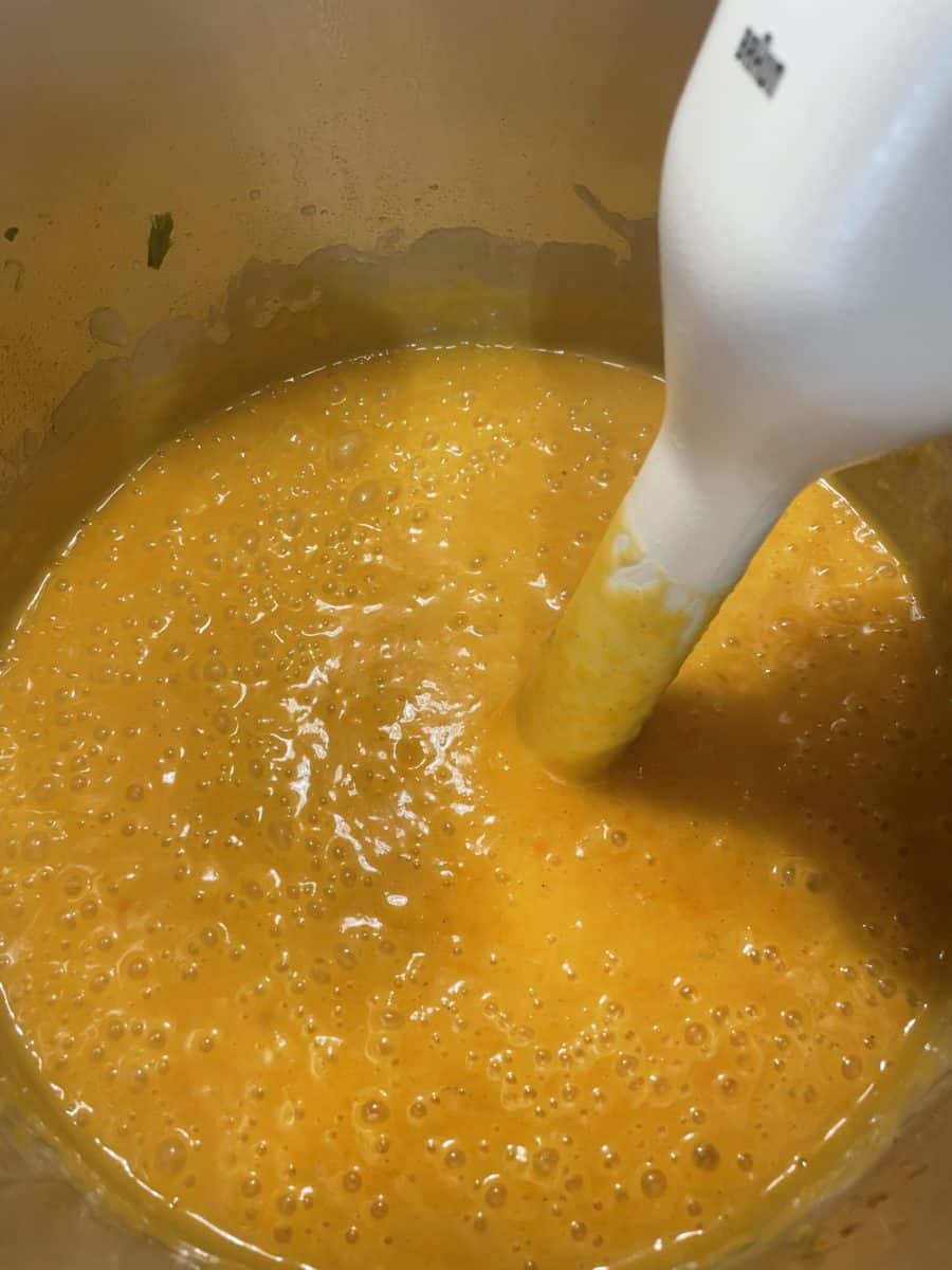 Use a stick blender to puree the cooked butternut squash soup while it's still in the stock pot.
