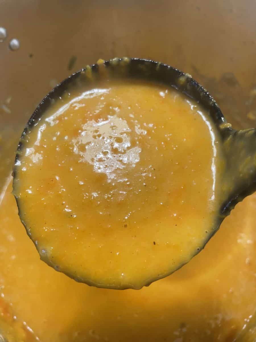 A ladle full of Panera Butternut Squash Soup.