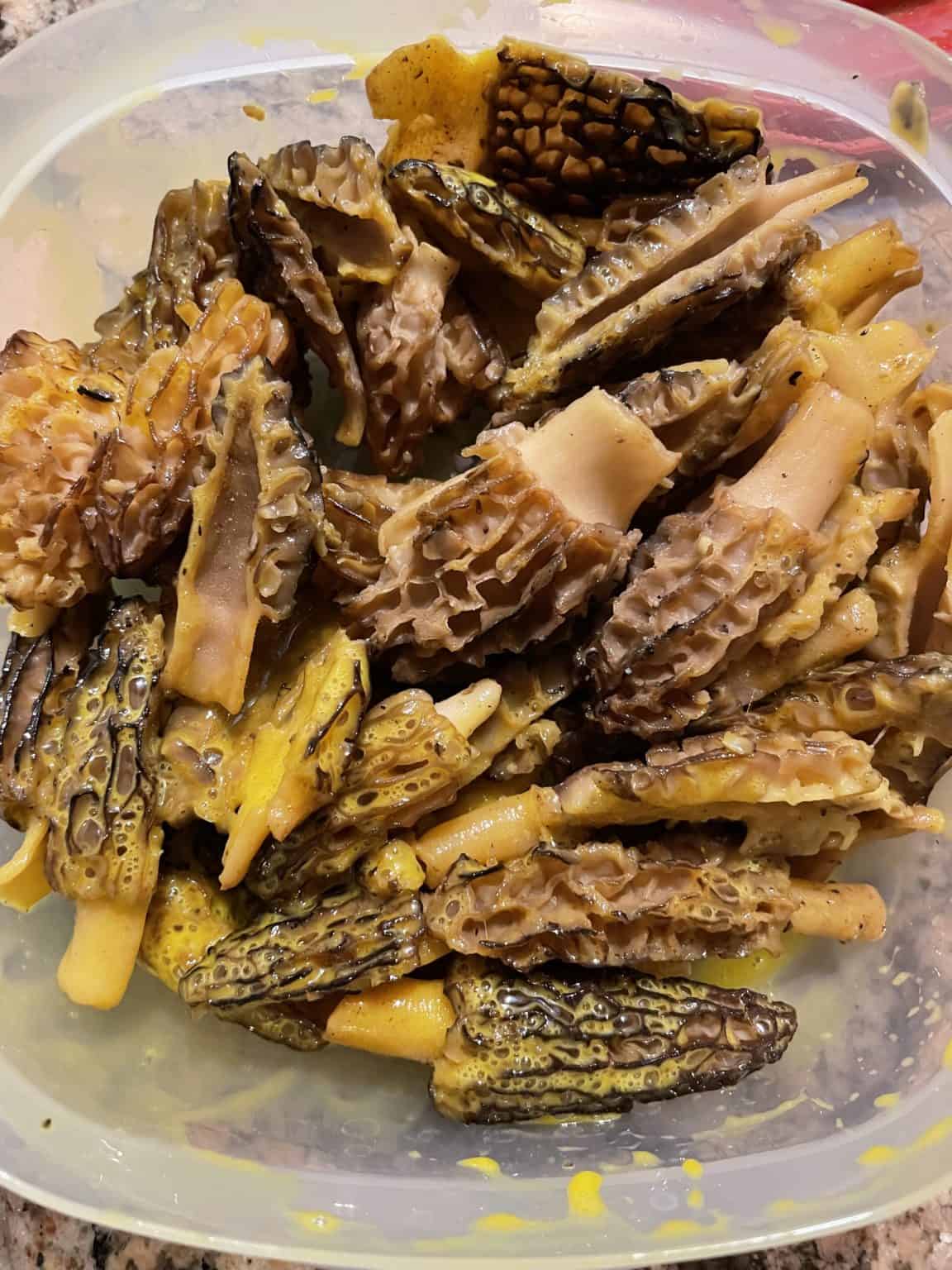 Blackstone Morel Mushroom Recipe From Michigan To The Table