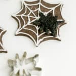 Chocolate Sugar Cookies with Black Cocoa - A spider and a web cookie along with a spider cookie cutter.