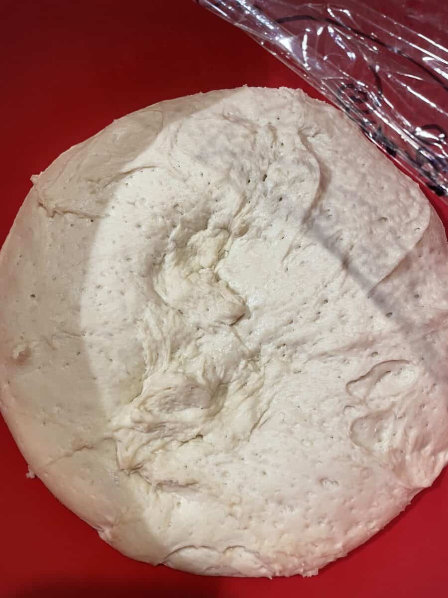Pizza Dough Proofing