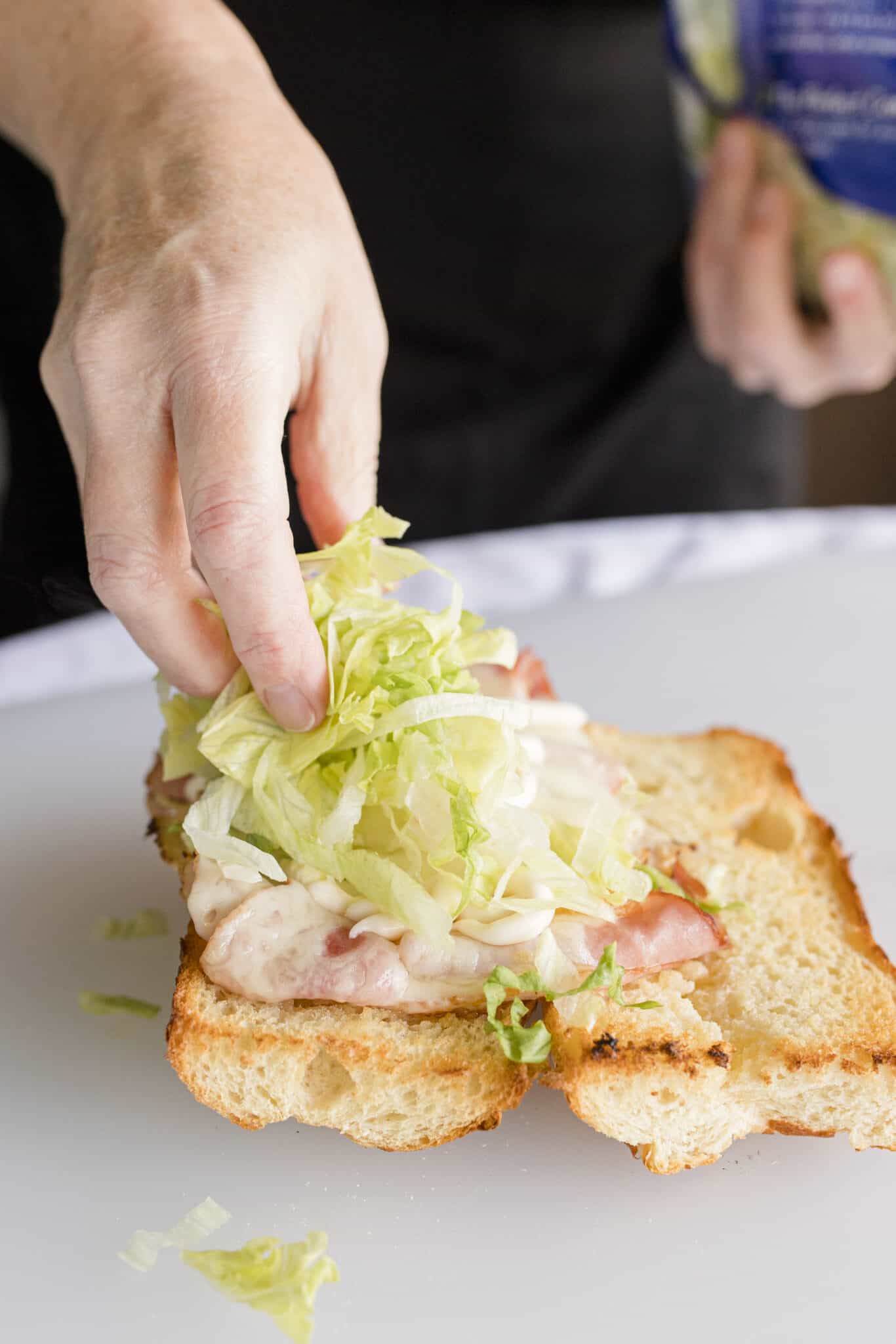 Copycat Subway Turkey Sandwich with Ham From Michigan To The Table