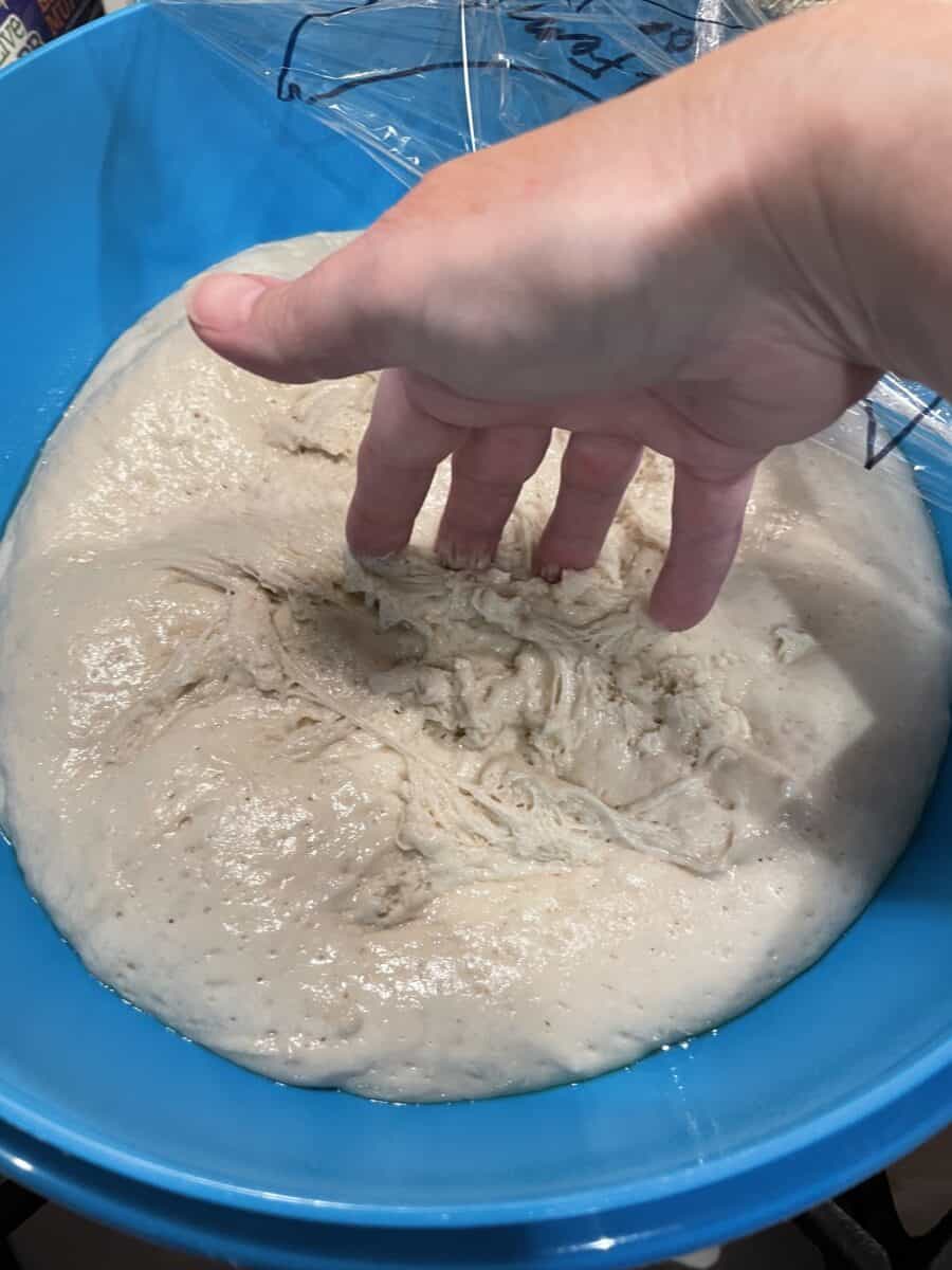 Poking Down the Yeast Rolls Dough with Your Fingertips in the Extra Large Bowl.
