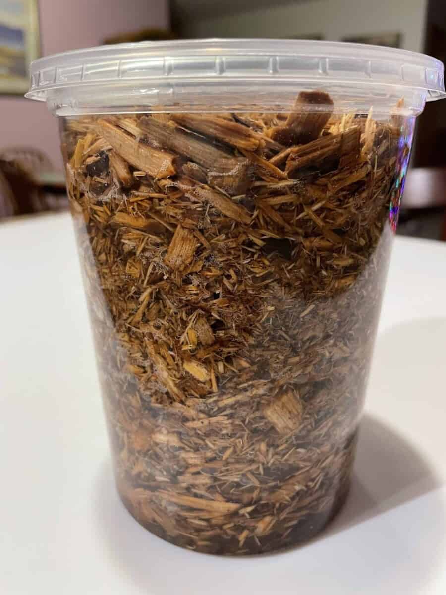 Soaking Wood Chips in a container before using them in a smoker grill.