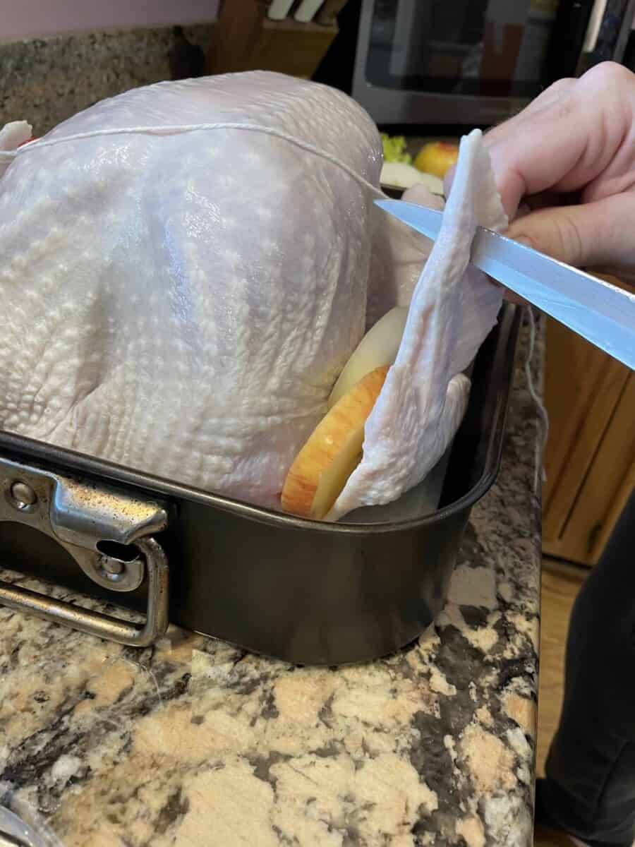 Cutting a Hole in the Turkey Wing.