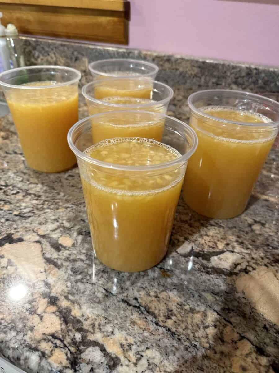 5 Quart Containers of Pineapple Slushie Mixture.