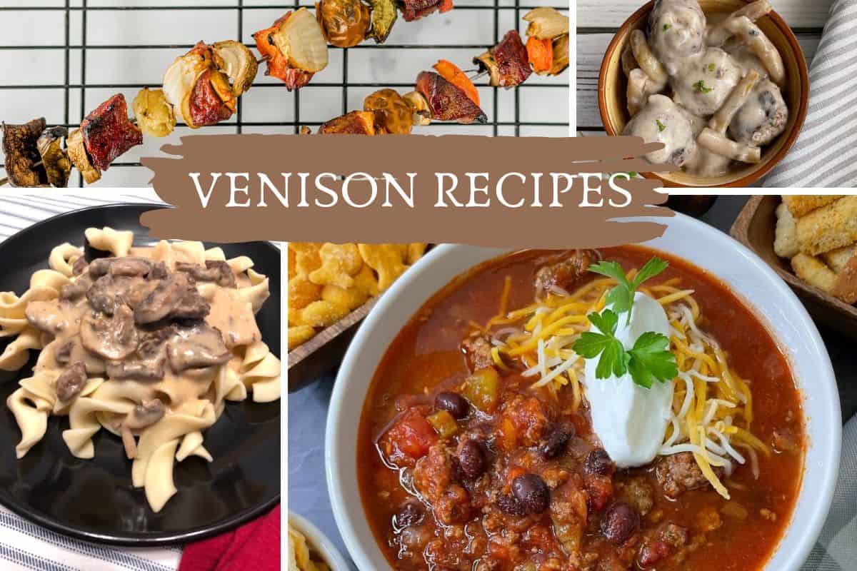 The Best Venison Recipe Collections - Venison Kabobs, Venison Meatballs, Venison Tips and Noodles, and Venison Chili