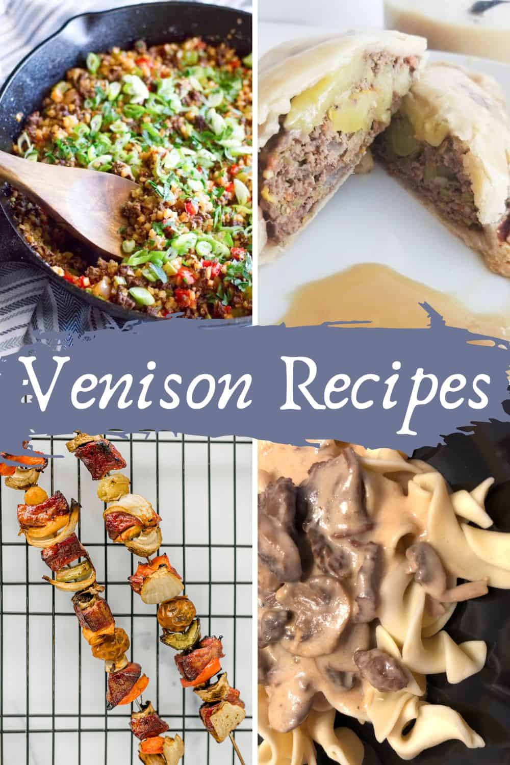 More Venison Meals - Venison Pastries, Venison Kabobs, and Venison Tips and Noodles.