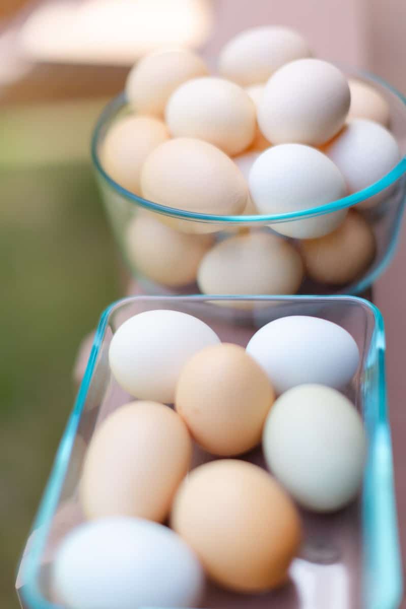 Bowls of Farm Fresh Eggs