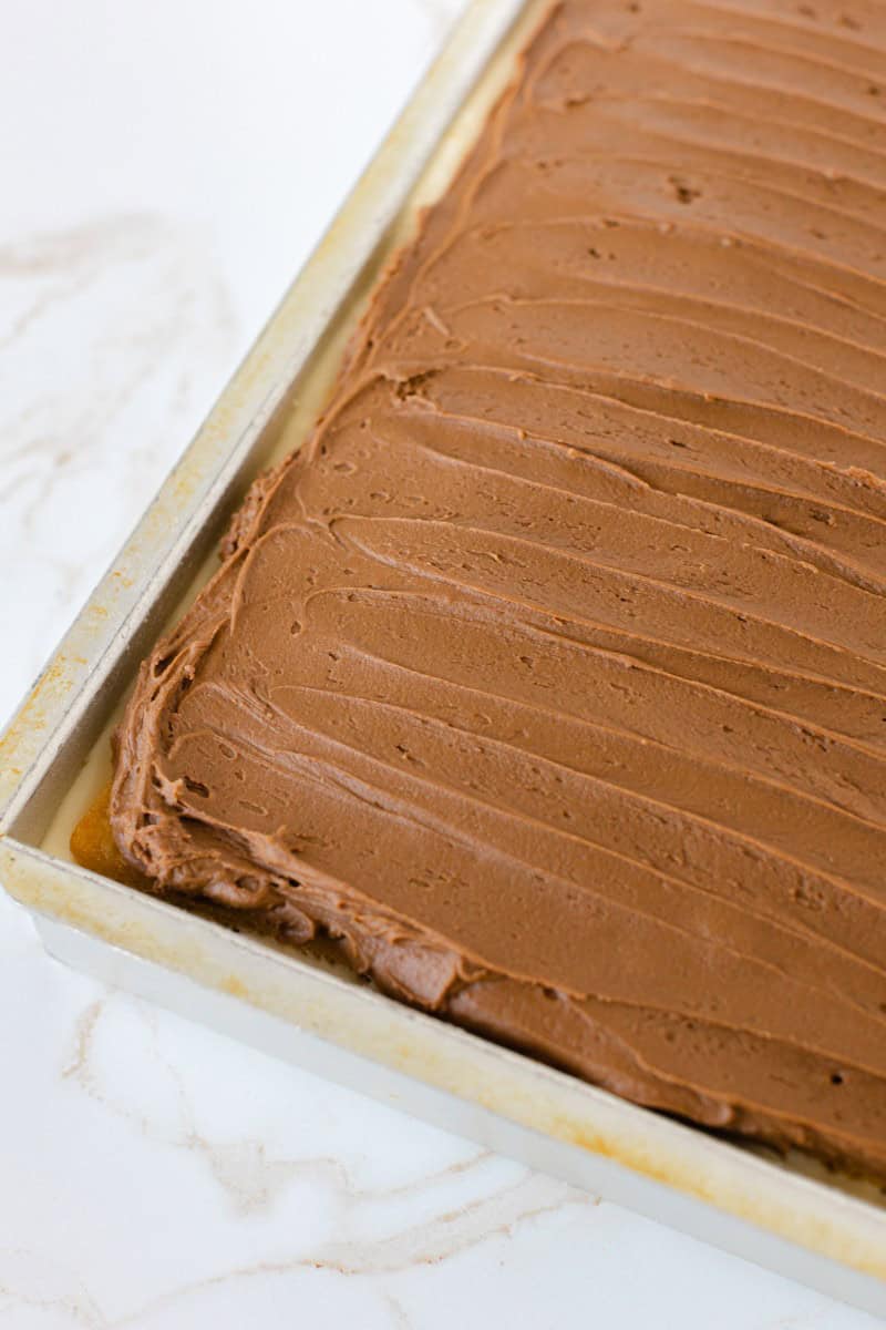 A Whole Boston Cream Cake in a pan.