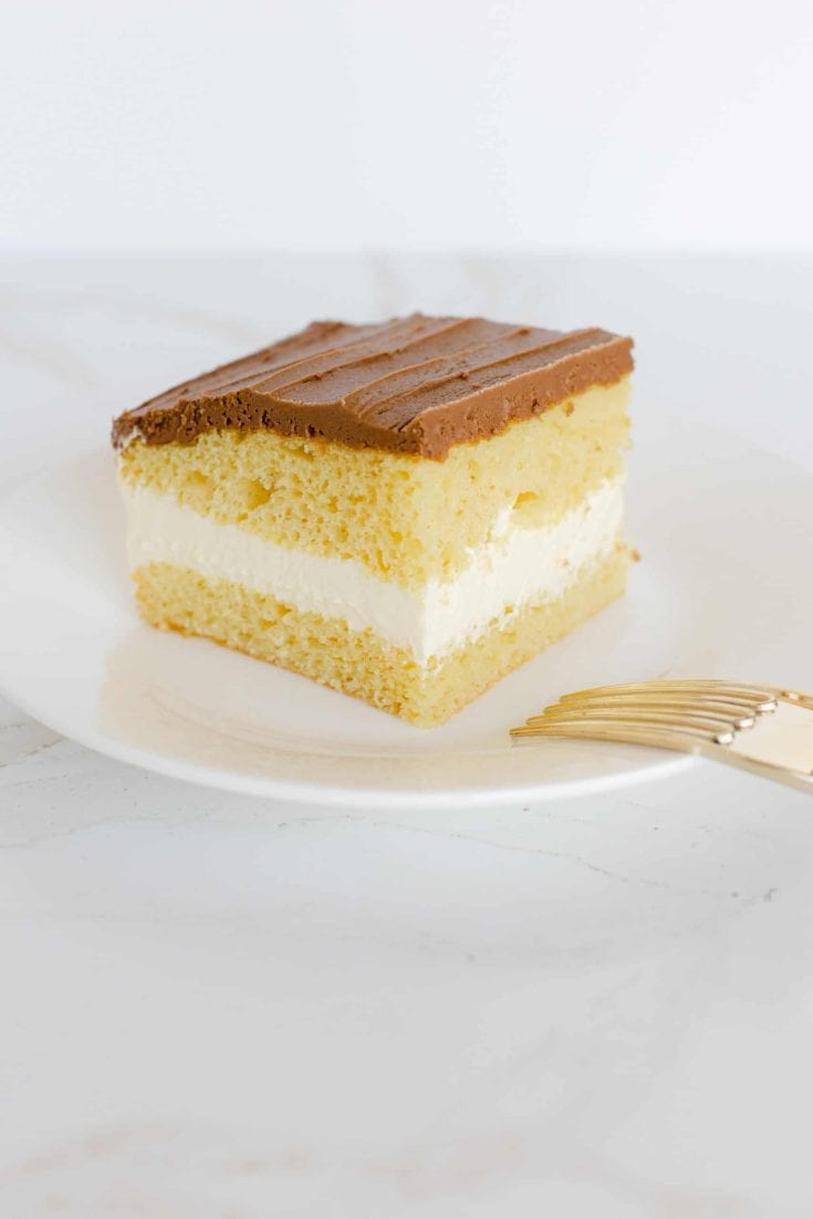 A Slice of Boston Cream Cake
