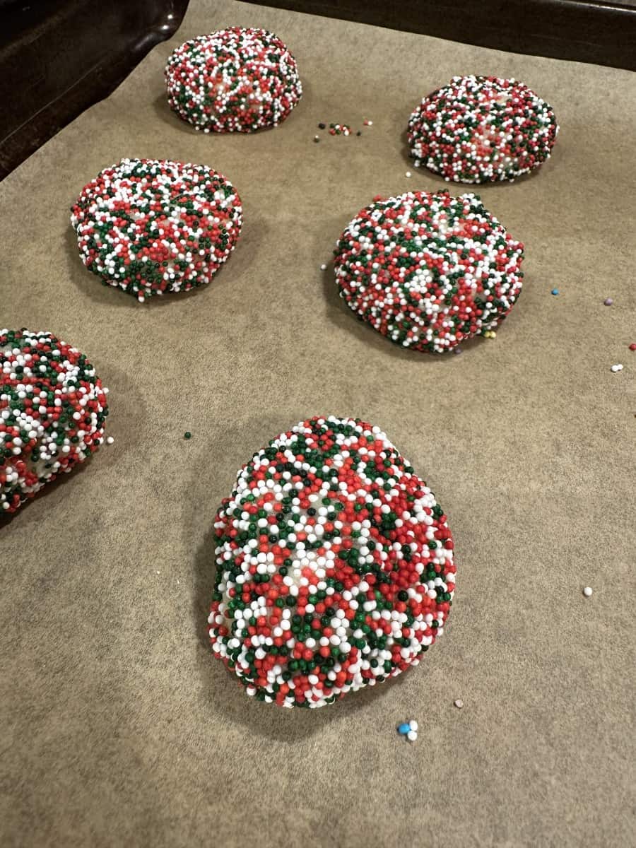 Place the Decorated Cookie Dough onto a Parchment Lined Baking Pan.