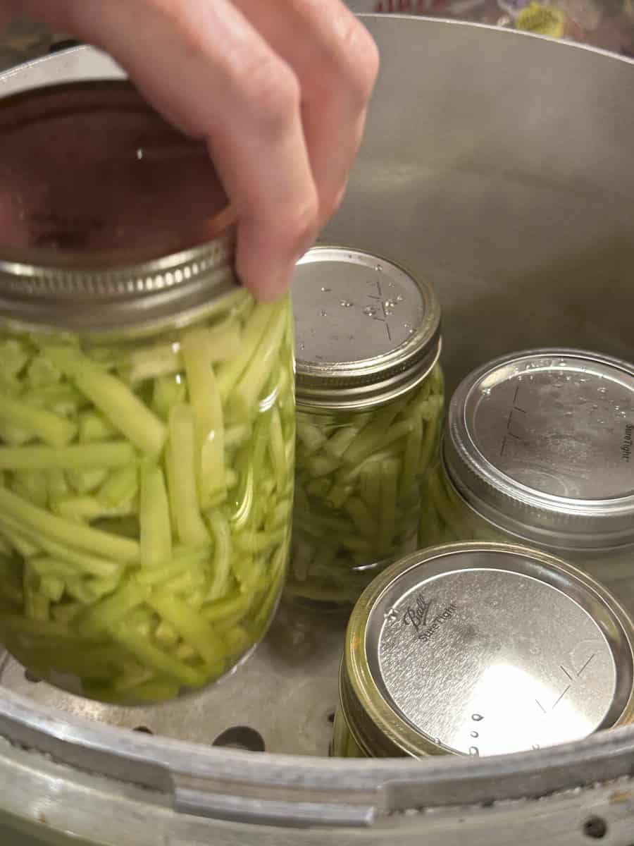 Carefully, Place the Prepared Jars into the Pressure Canner.