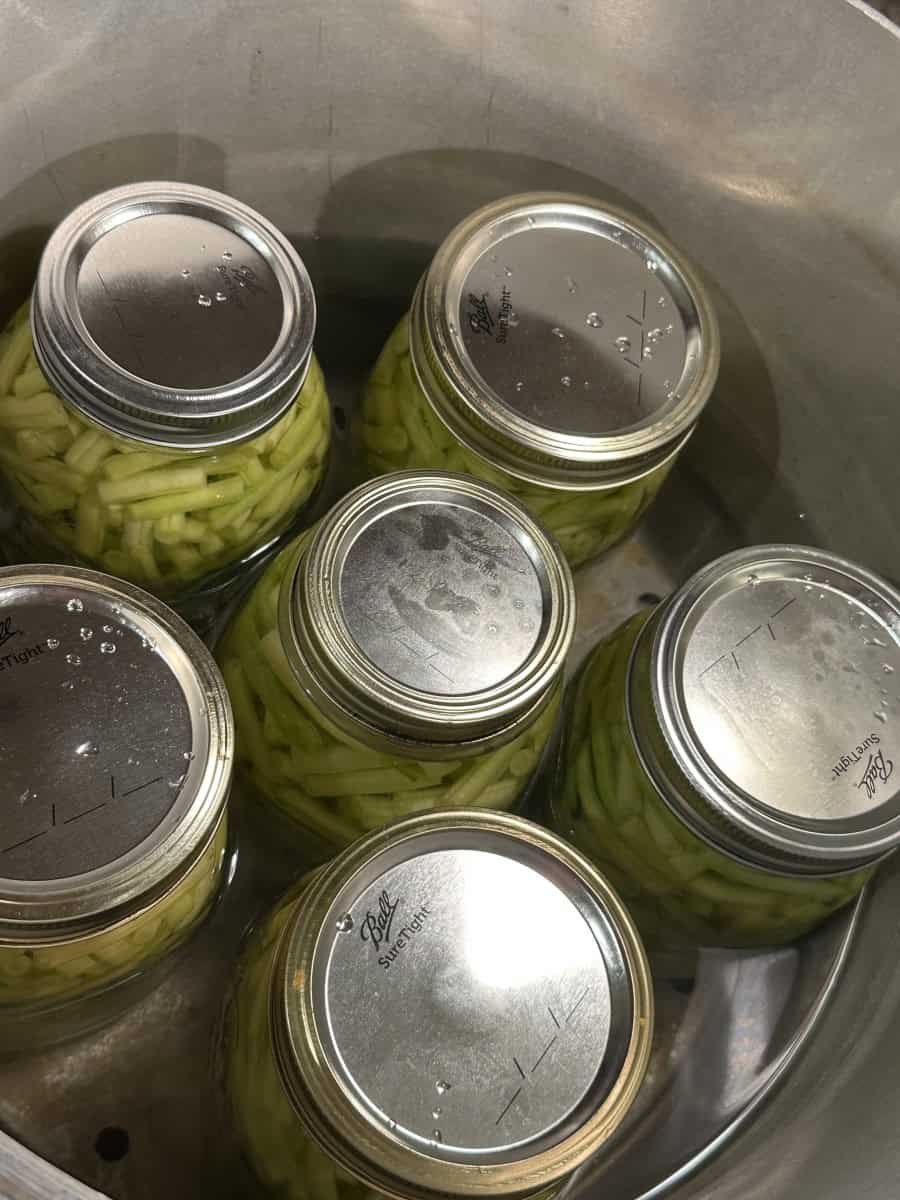 A Pressure Canner Full of Jars with Yellow Wax Beans