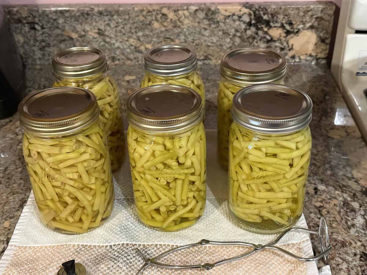 6 Jars of Canned Yellow Beans