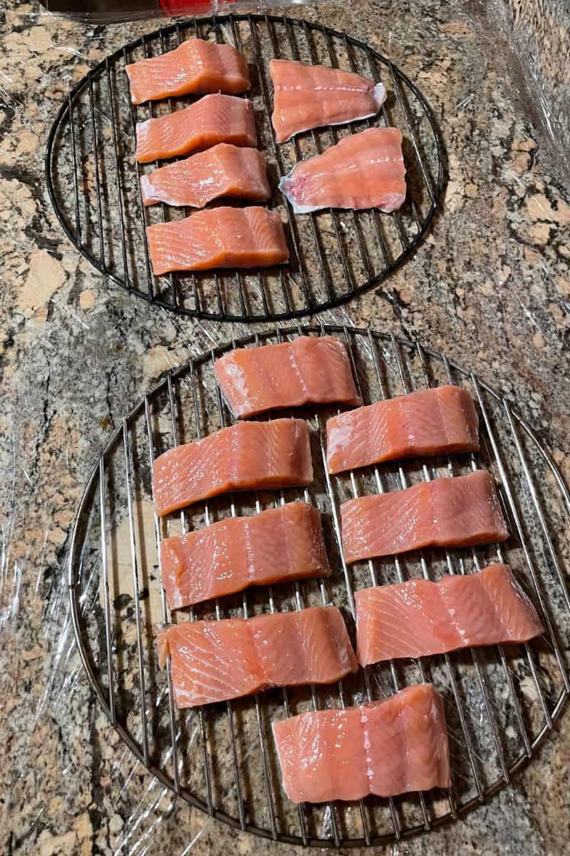 Salmon Pieces on a Smoker Rack