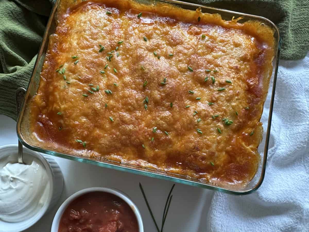 Easy Shredded Chicken Enchilada Recipe