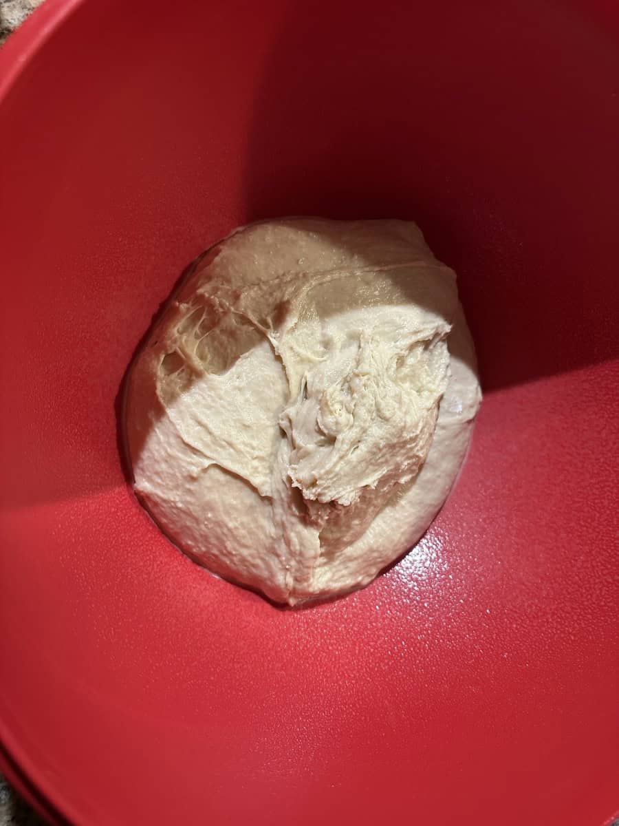 English Muffin Dough in a Greased Bowl