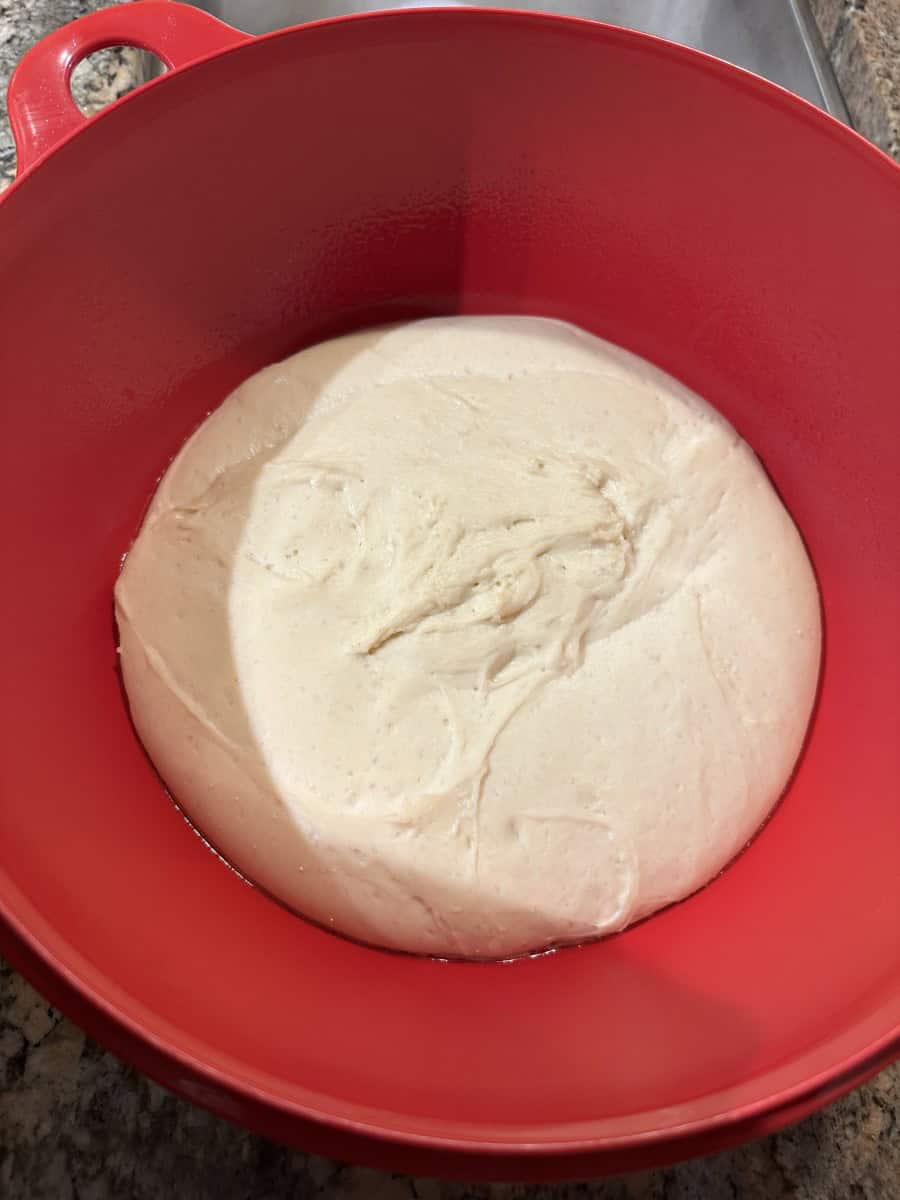 Raised English Muffin Dough