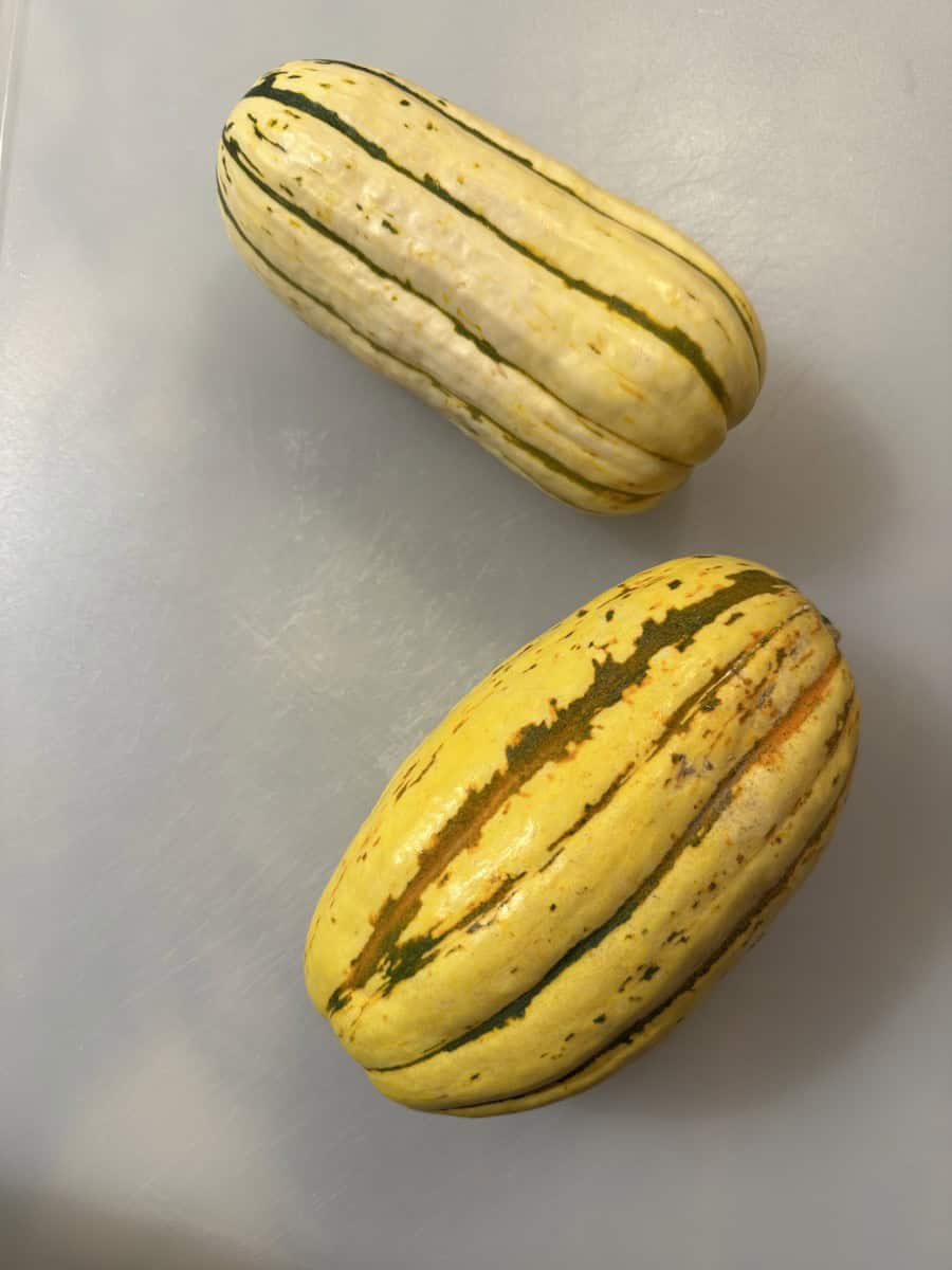 2 Delicata Squash