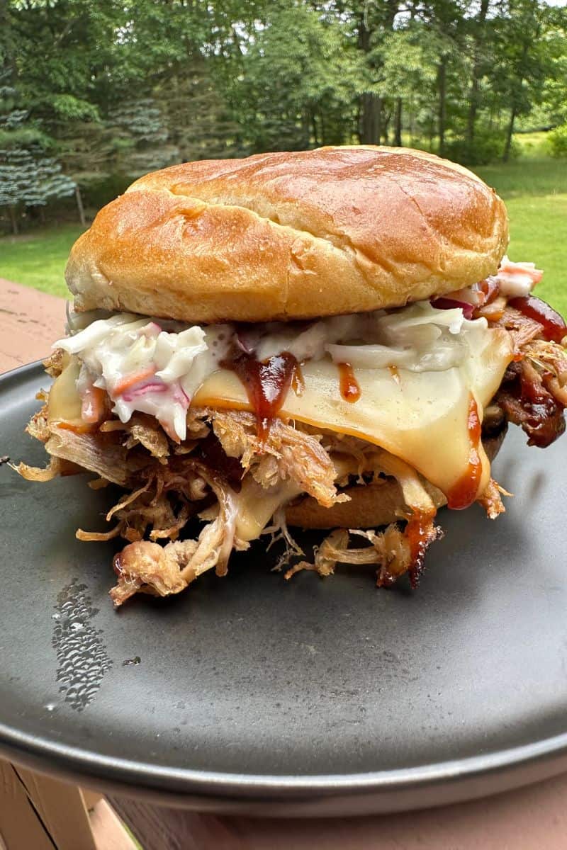 Smashed Pulled Pork Burger